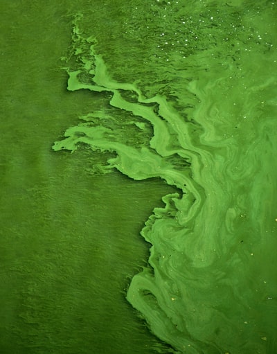绿色水